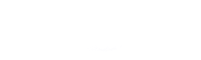 National pen logo